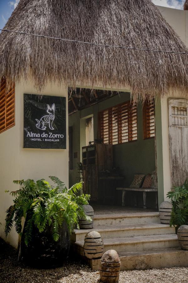 Alma De Zorro Hotell Bacalar Exteriör bild