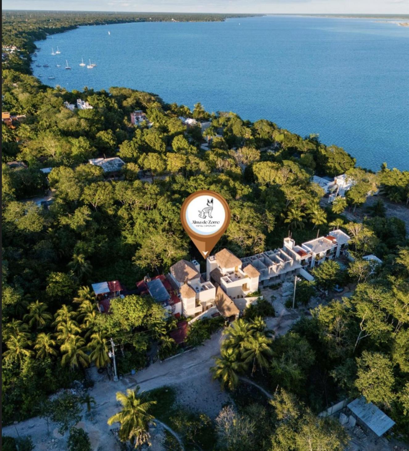 Alma De Zorro Hotell Bacalar Exteriör bild